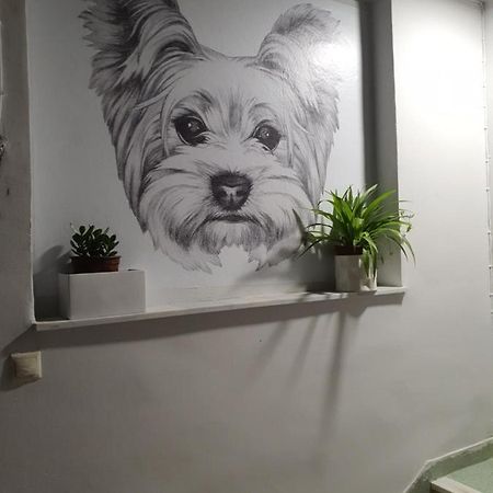 Larry'S Little Place In The Center Of Gytheio Luaran gambar